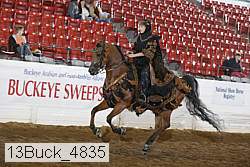 13buck_4835 proof
