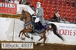 13buck_4837 proof