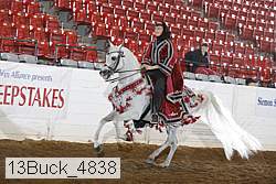 13buck_4838 proof