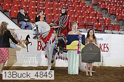 13buck_4845 proof