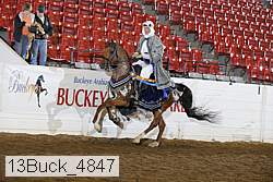 13buck_4847 proof