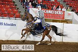 13buck_4848 proof