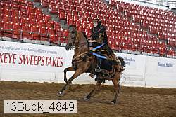 13buck_4849 proof