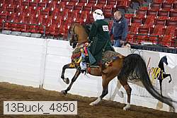 13buck_4850 proof