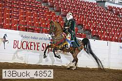 13buck_4852 proof