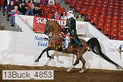 13buck_4853 proof