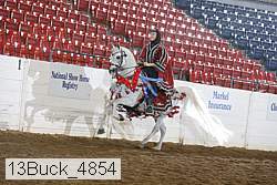 13buck_4854 proof
