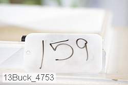 13buck_4753 proof