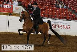 13buck_4757 proof