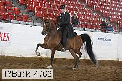 13buck_4762 proof