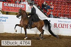13buck_4764 proof