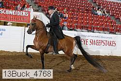 13buck_4768 proof