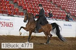 13buck_4771 proof