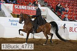13buck_4773 proof