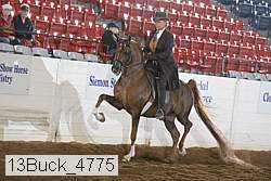 13buck_4775 proof