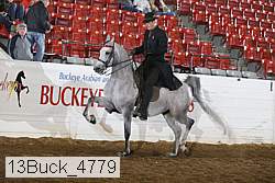 13buck_4779 proof