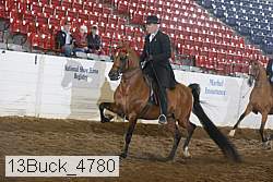 13buck_4780 proof
