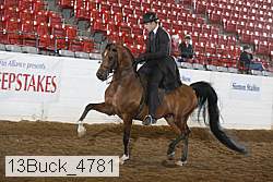 13buck_4781 proof