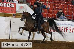 13buck_4783 proof