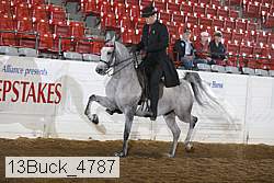 13buck_4787 proof