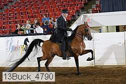 13buck_4790 proof