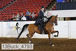 13buck_4793 proof