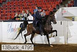 13buck_4795 proof