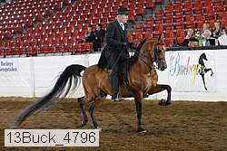 13buck_4796 proof