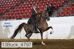 13buck_4797 proof