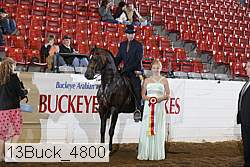 13buck_4800 proof