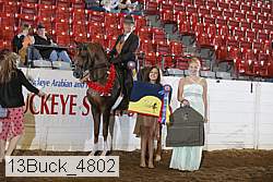 13buck_4802 proof