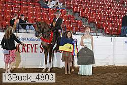 13buck_4803 proof