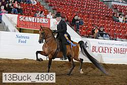 13buck_4806 proof