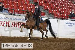 13buck_4808 proof
