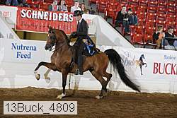 13buck_4809 proof