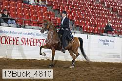 13buck_4810 proof