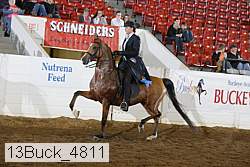 13buck_4811 proof