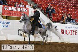 13buck_4813 proof