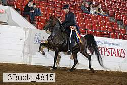 13buck_4815 proof