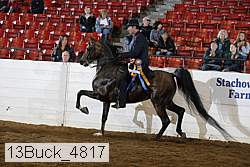 13buck_4817 proof