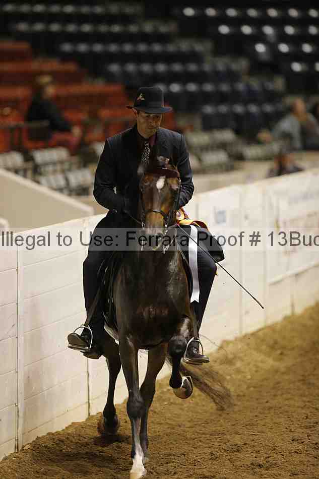 Proof 13buck_4819