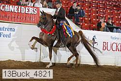 13buck_4821 proof