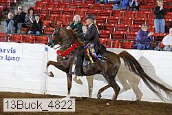 13buck_4822 proof