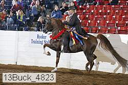 13buck_4823 proof