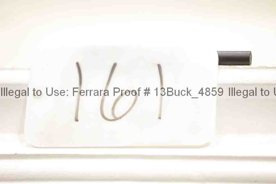 Proof 13buck_4859