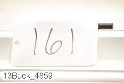 13buck_4859 proof