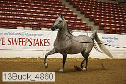 13buck_4860 proof