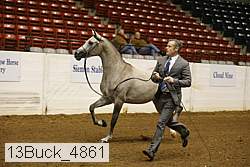13buck_4861 proof