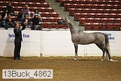13buck_4862 proof