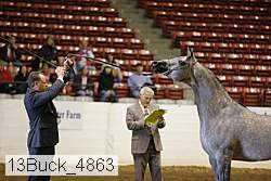 13buck_4863 proof